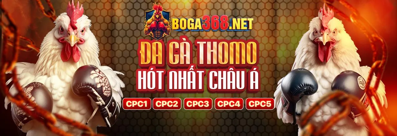 Mẹo cá cược đá gà bet 169